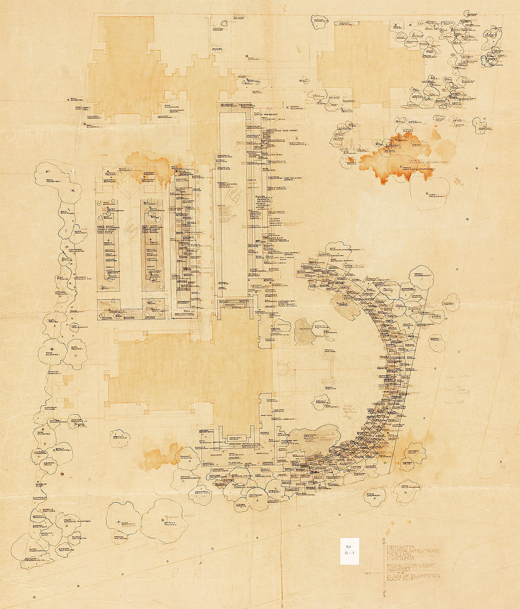 Buffalo-Magazine-Frank-Lloyd-Wright-Martin-House-Landscaping-Plan
